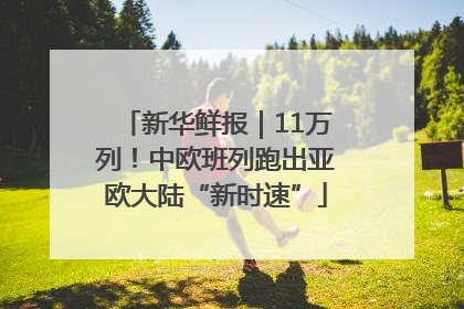 新华鲜报｜11万列！中欧班列跑出亚欧大陆“新时速”
